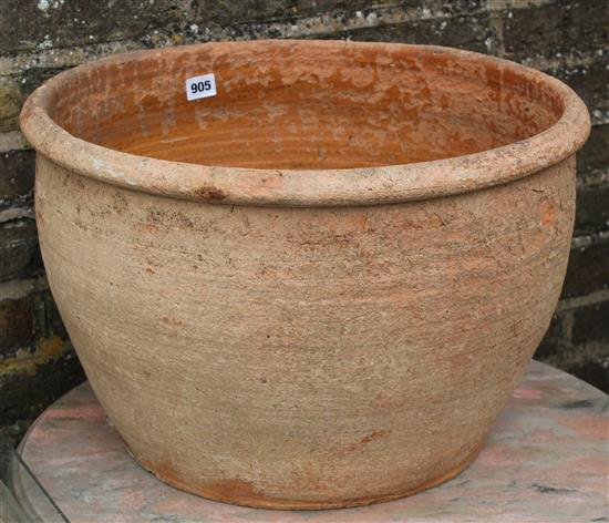 Terracotta garden planter